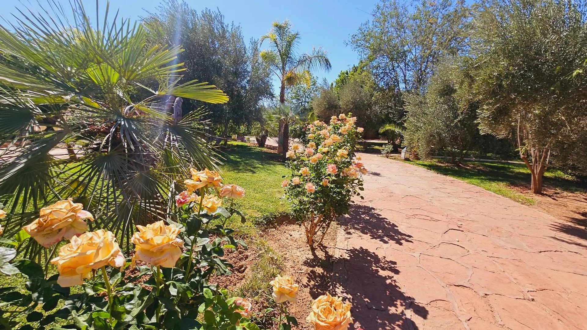 Villa Blanche Marrakech Marrakesh